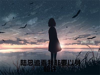 沈芊芊陆霆夜全本资源（陆总追着我非要以身相许）全文免费阅读无弹窗大结局_陆总追着我非要以身相许最新章节列表（沈芊芊陆霆夜）