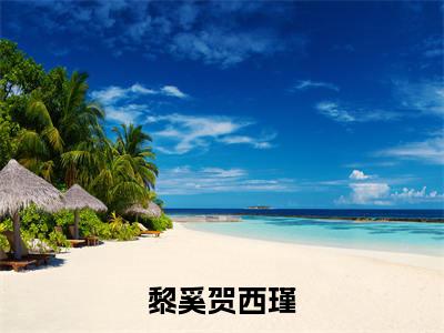 【新书】黎奚贺西瑾全文全章节免费阅读-黎奚贺西瑾小说免费阅读无弹窗最新章节列表