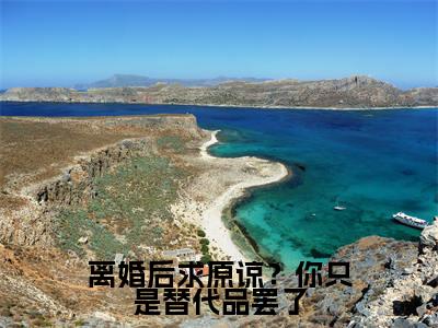 离婚后求原谅？你只是替代品罢了（秦双）全文免费阅读无弹窗大结局_（秦双）秦双最新章节列表