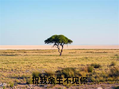 祝我余生不见你（姚青寒汪雨泽）全文免费阅读无弹窗大结局_（姚青寒汪雨泽）祝我余生不见你全文免费完结版阅读