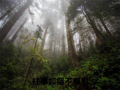 祝婉付昀（往事如烟不相思）的小说完整版免费阅读主角是（祝婉付昀）往事如烟不相思无弹窗免费阅读