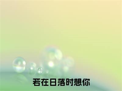 若在日落时想你（陆霆澜虞晚小说）最新在线阅读_陆霆澜虞晚小说免费阅读