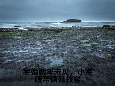 军婚两年未见，小军嫂带俩娃找爹（宋言彻许烟）全文免费阅读无弹窗大结局_宋言彻许烟（军婚两年未见，小军嫂带俩娃找爹最新章节在线阅读）_笔趣阁