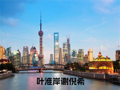 叶淮岸谢倪希全文（谢倪希叶淮岸）小说免费阅读无弹窗大结局_叶淮岸谢倪希全文无弹窗完整版阅读