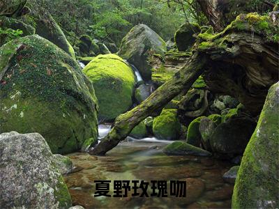 祁野夏玫全文免费（夏野玫瑰吻）全文免费阅读无弹窗大结局_（祁野夏玫全文免费）