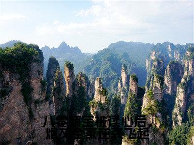 沈念念（八零萌宝被读心后，炮灰全家逆袭飞起）全文免费阅读无弹窗_八零萌宝被读心后，炮灰全家逆袭飞起最新小说_笔趣阁（沈念念）