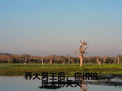 养大男主后，你说这是人形天灾（乔清疏裴周妄）全文免费阅读无弹窗大结局_养大男主后，你说这是人形天灾最新章节列表_笔趣阁（乔清疏裴周妄）