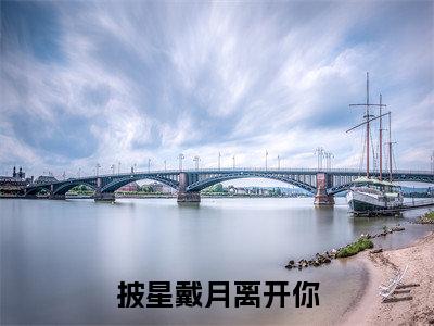 披星戴月离开你（林语鸢）全文免费在线阅读_披星戴月离开你全文阅读_笔趣阁（林语鸢）