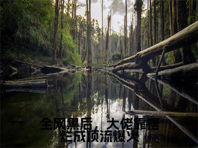 夏祈宁全文免费阅读大结局-全网黑后，大佬靠摆烂成顶流爆火最新章节阅读