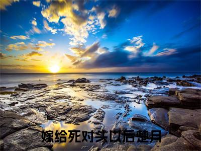 嫁给死对头以后楚月免费阅读（楚月）完整版全文全章节阅读（楚月免费+番外）