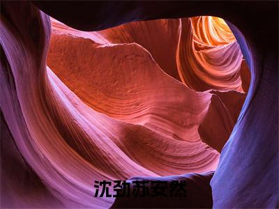 沈劲苏安然全文无弹窗阅读苏安然沈劲大结局全文免费