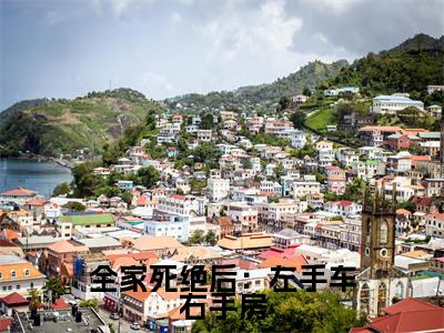 全家死绝后：左手车右手房小说免费（宋瓷）全文免费阅读无弹窗-全家死绝后：左手车右手房小说全文免费阅读-笔趣阁