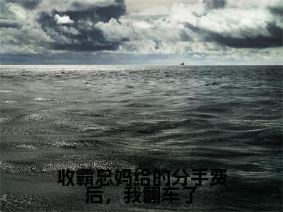 收霸总妈给的分手费后，我翻车了（许安然楚子墨）全文免费阅读无弹窗_收霸总妈给的分手费后，我翻车了小说免费阅读_笔趣阁