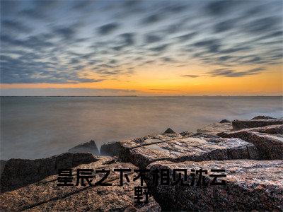 主角为陆夕瑶沈云野的小说-星辰之下不相见沈云野（陆夕瑶沈云野）全文完整版阅读