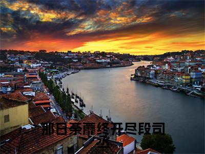 抖音高赞小说那日荼蘼终开尽段司丞在线阅读虞挽云段司丞新上现代言情小说推荐