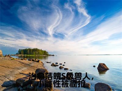 治愈落魄S级兽人，小雌性被疯抢（陆筱）全文免费阅读无弹窗大结局_陆筱最新章节列表