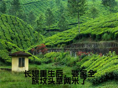 谢见微傅平野（长媳重生后，婆家全族坟头草两米了）全文在线阅读无弹窗大结局_（谢见微傅平野在线阅读）最新章节列表_笔趣阁