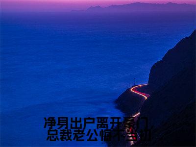 抖音高赞小说净身出户离开豪门，总裁老公悔不当初在线阅读萧逸新上现代言情小说推荐