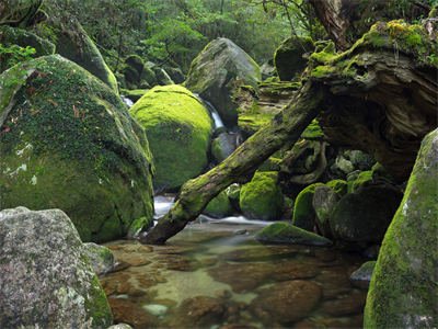 小说沈靳屿温黎初最新章节-沈靳屿温黎初免费完结版